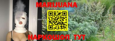 индика Лесосибирск
