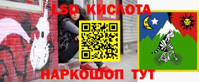 индика Лесосибирск