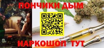 индика Лесосибирск