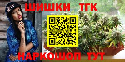 индика Лесосибирск