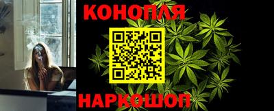 индика Лесосибирск