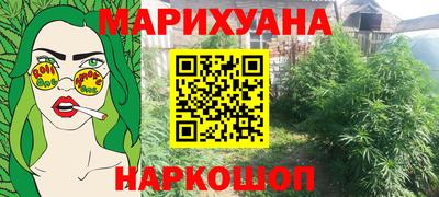 индика Лесосибирск