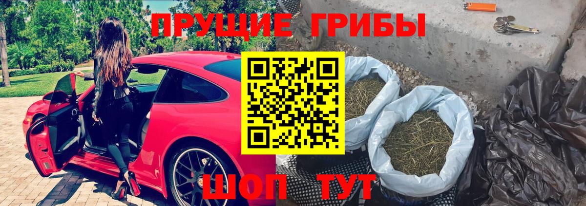 Псилоцибиновые грибы ЛСД Уссурийск